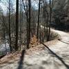 Cooper Creek Road with Cooper Creek