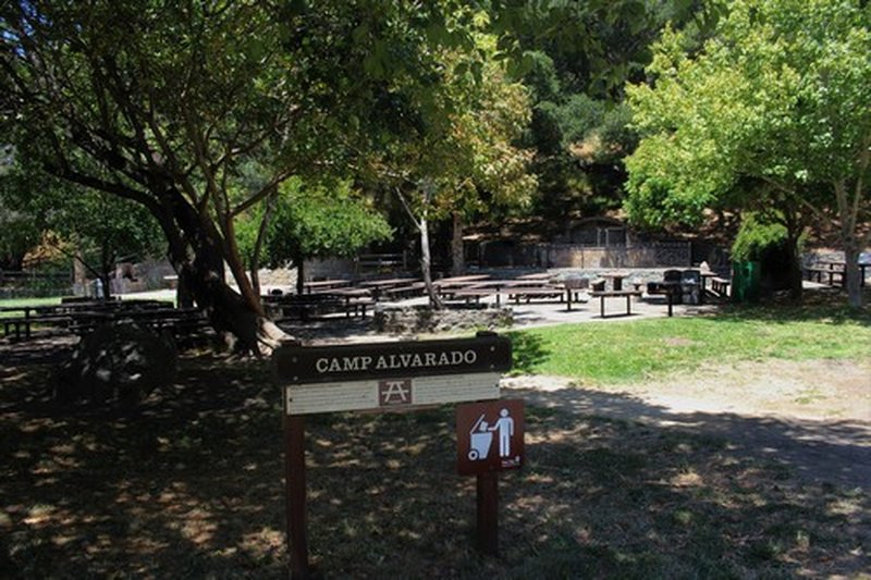 Alvarado Park Trail Mountain Bike Trail, East Richmond Heights, California