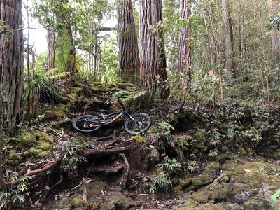 mountain biking big island hawaii