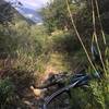 Gives you an idea of how tight the vegetation makes this trail. Definitely solid vistas and a real backcountry feel to it.