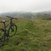 Magical misty afternoon on the Ridge