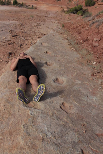 Series of Dinosaur Tracks - Klondike Bluff trail