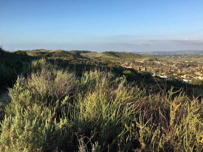 Tijeras Creek, Ladera Ridge, and Las Flores Ridge (Rage) Loop
