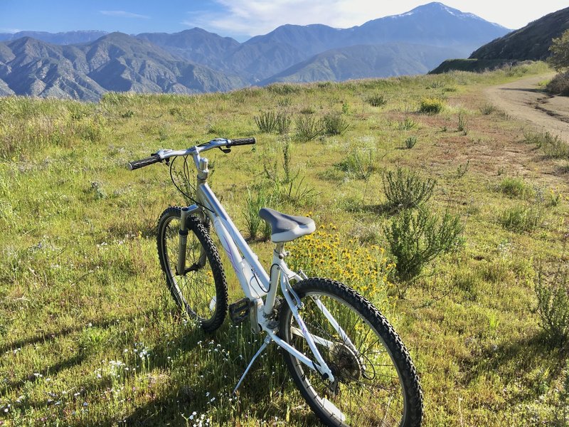 Zanja Peak Trail