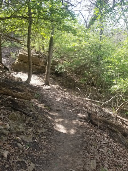 Lots of side trails