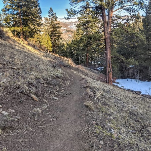Trout Creek Trail 831 Mountain Bike Trail, Del Norte, Colorado