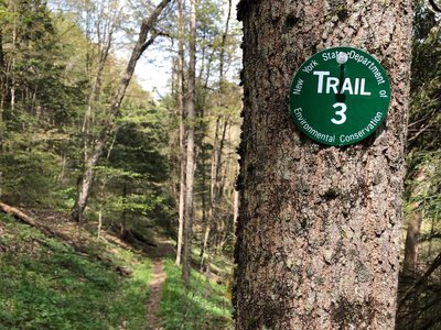 G3 (Stiletto) Mountain Bike Trail, Dryden, New York