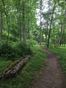 Mountain Bike Trails Near Gaithersburg Germantown And Rockville