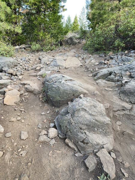 South Ridge Trail
