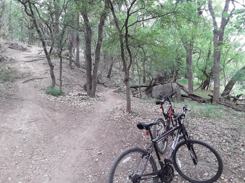 downhill parks near me