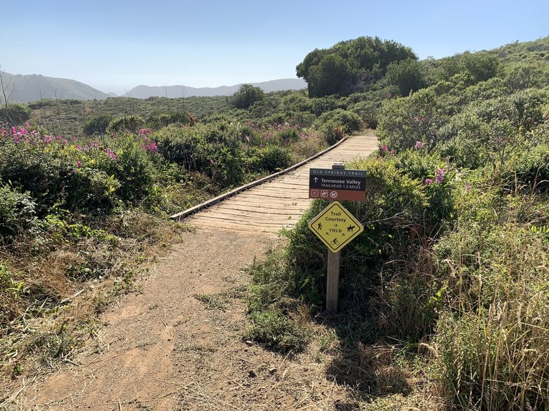 The start of the Old Springs Trail—fun trail with gorgeous views of the Tennessee Valley.