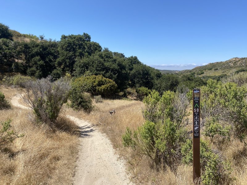 Fort Ord National Monument Trail Map Trail 50 (South) Mountain Bike Trail, Seaside, California