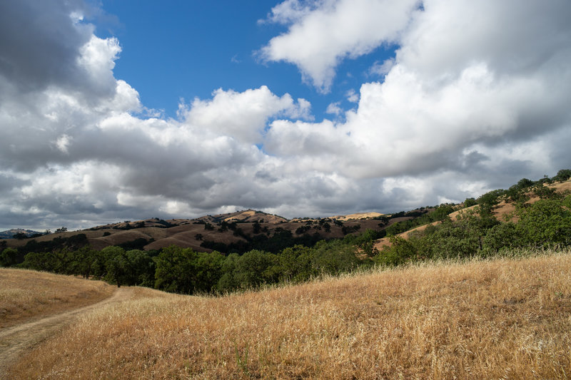 Looking back toward San Jose