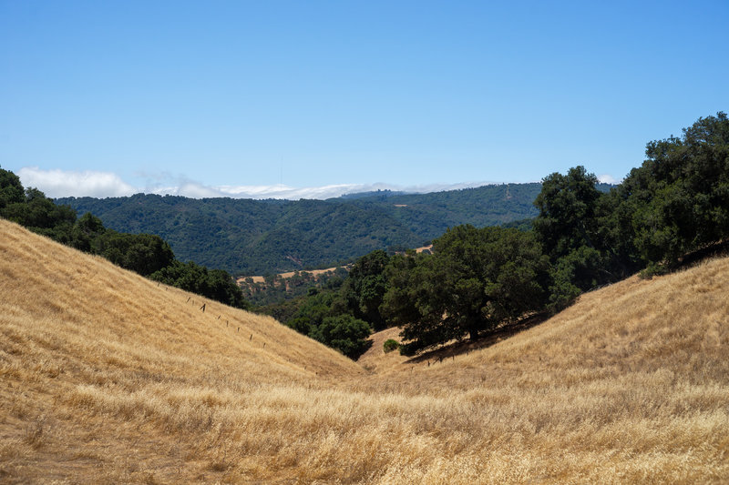 Chisnantuk Peak Trail