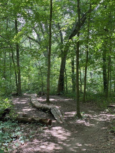 Fort custer mountain online bike trail