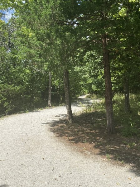 lake jacomo mountain bike trails