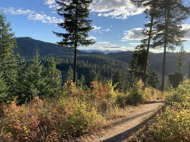 Canfield Gulch