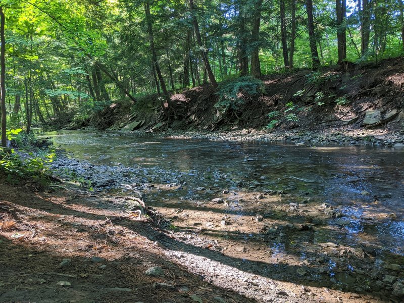 Sawmill Valley Trail Photos