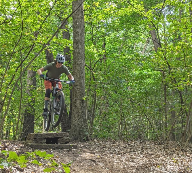 oak openings mountain bike trail