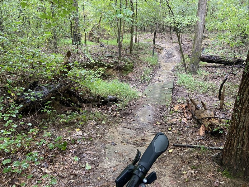 Herb Parsons Lake Trail Mountain Bike Trail, Piperton, Tennessee