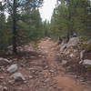 Climbing up Trail #264.