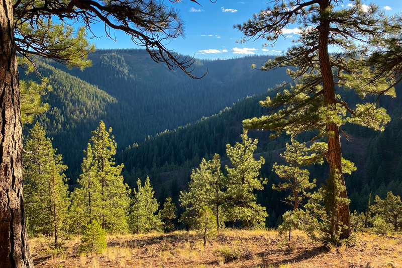 Eagle Ridge Trail #3232