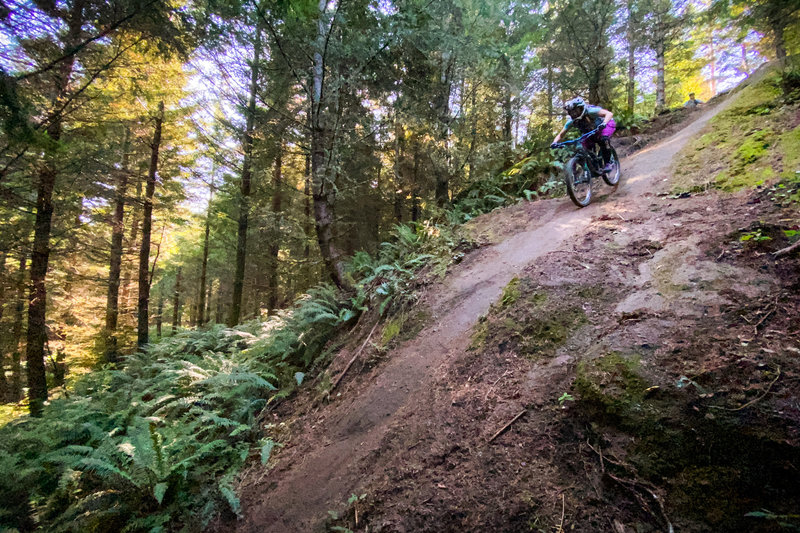 galbraith mountain biking