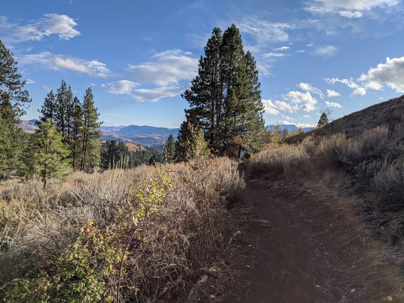 Lower Buck Mountain Trail