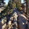 A tricky feature on Dakota Ridge - look close and you can see all the scrapes on the rocks from pedal strikes!