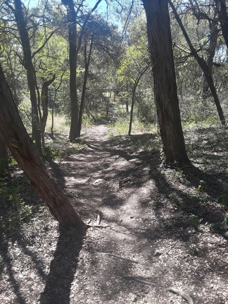 New Braunfels Bike Trails