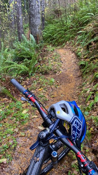 Wedekind - Crestline - Greenline #6 Loop