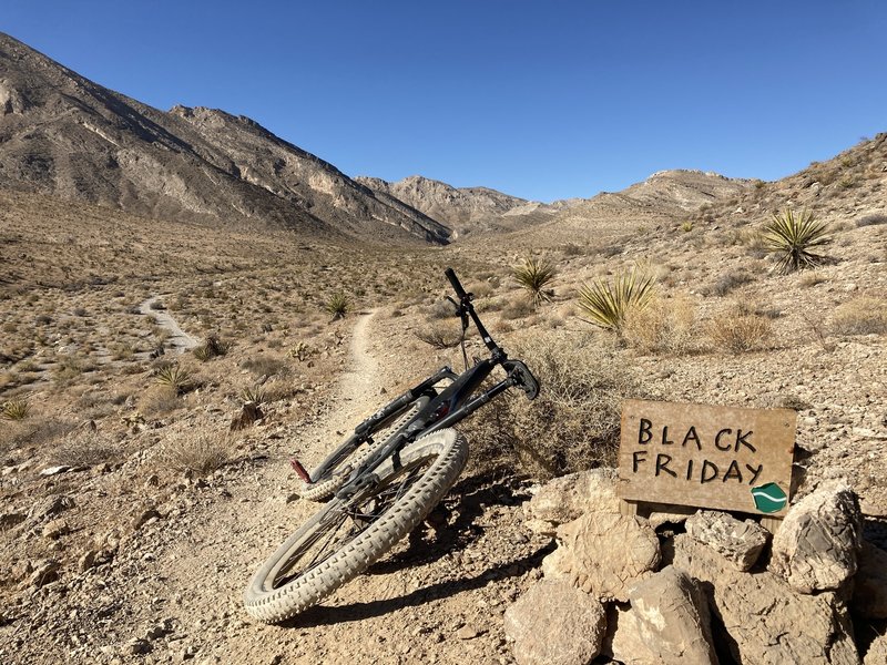starting-up-black-friday-trail