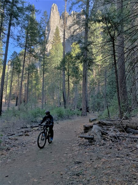yosemite valley loop