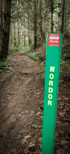 Lower Mirkwood