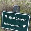 Rice Canyon Trail start
