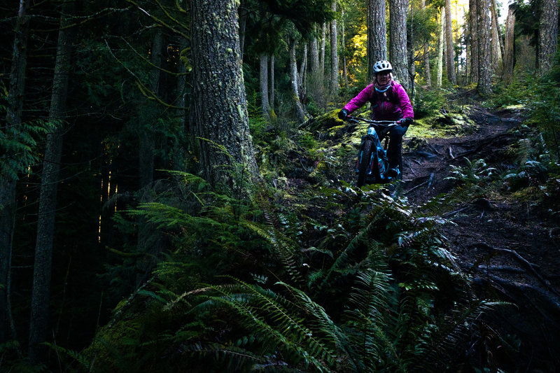 Ashley works through a steep rooty-section on