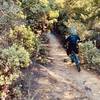 Manzita Trail - great climbing and descending.