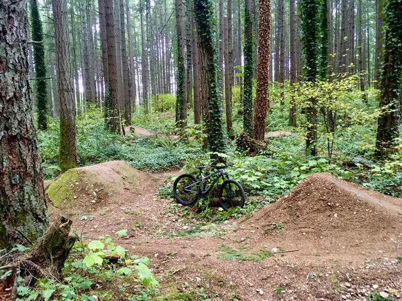 swan creek mtb trail parking