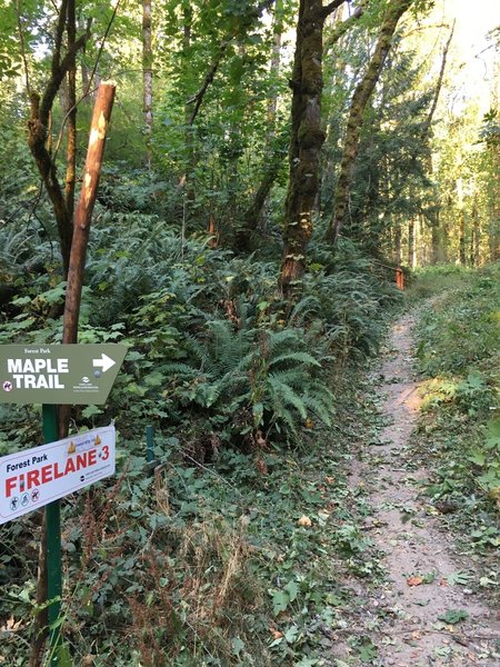 Firelane 3