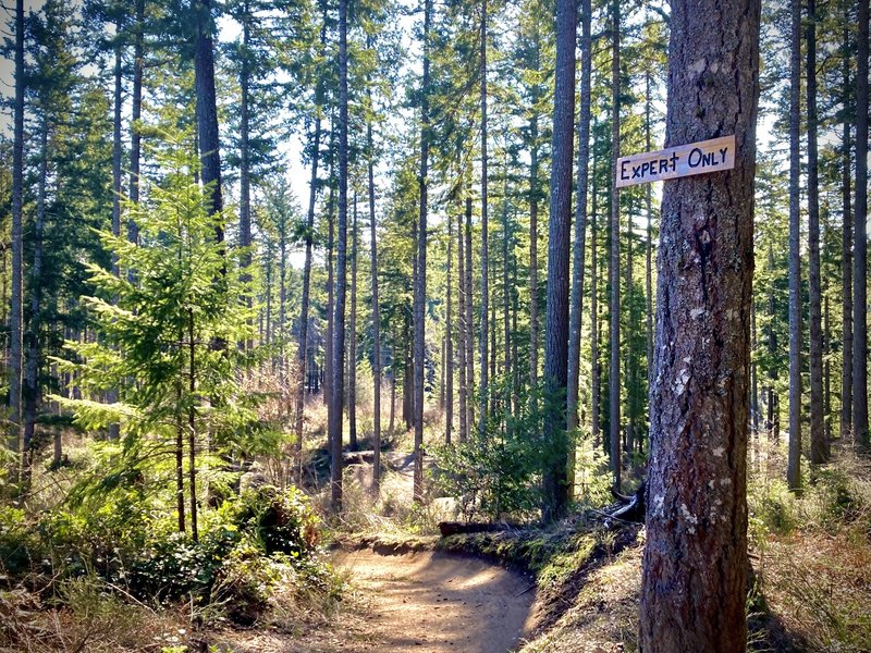 This trail is absolutely incredible, worth the trip for sure!