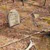The pet cemetery --- turn off Tillman Rd here for Narrowback!