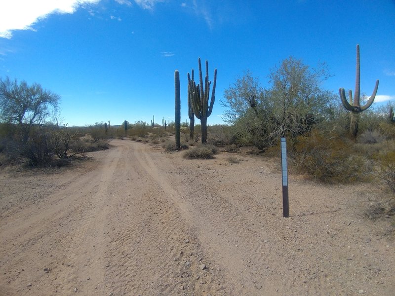 Matt's Loop East intersection with BLM 8114E. BLM marker is faded and ...