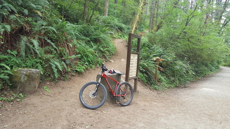 The North end of the Bells Mountain Trail at Moulton Falls