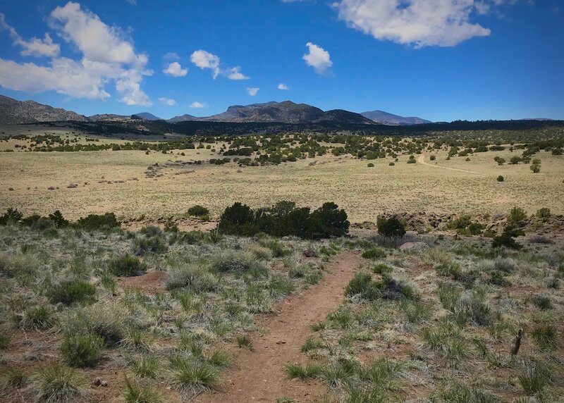 Pinon Mountain Bike Trail, Del Norte, Colorado