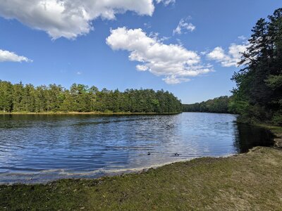 Mountain Bike Trails near Brendan Byrne State Forest