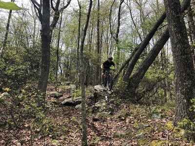 Mountain Bike Trails near Erwin