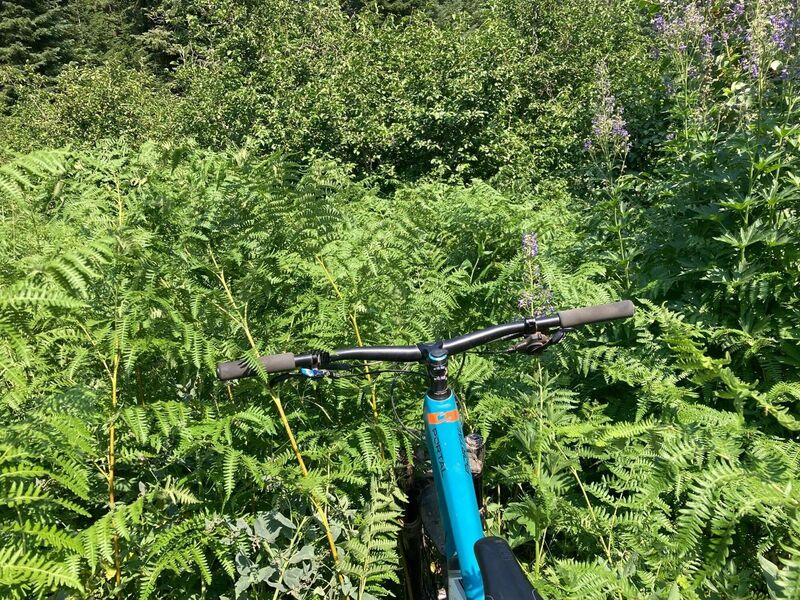 Lake Fork Creek Trail