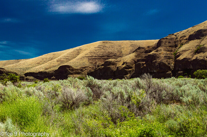 Looking NE from The Pinnacles Trail at the cliffs above the opposite shore of the John Day River.