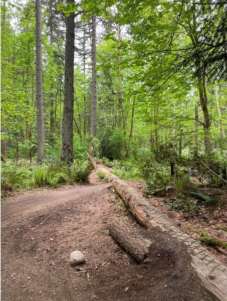 72nd Ave Trail