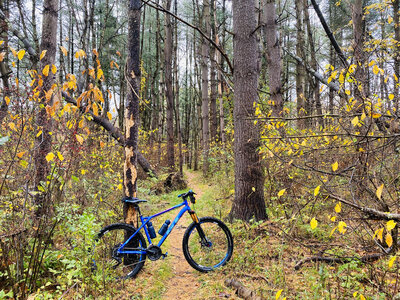 muddyfox recoil 26 inch mens mountain bike